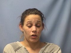 Mugshot of WILLIS, HAYLEY