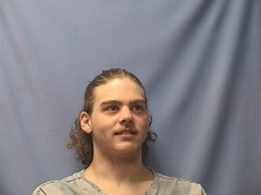 Mugshot of MINER, ALLEN